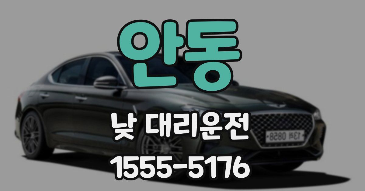 안동 낮 대리운전