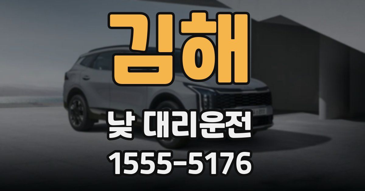 김해 낮 대리운전