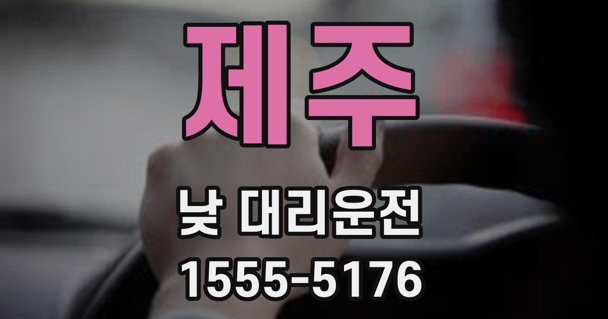 제주 낮 대리운전