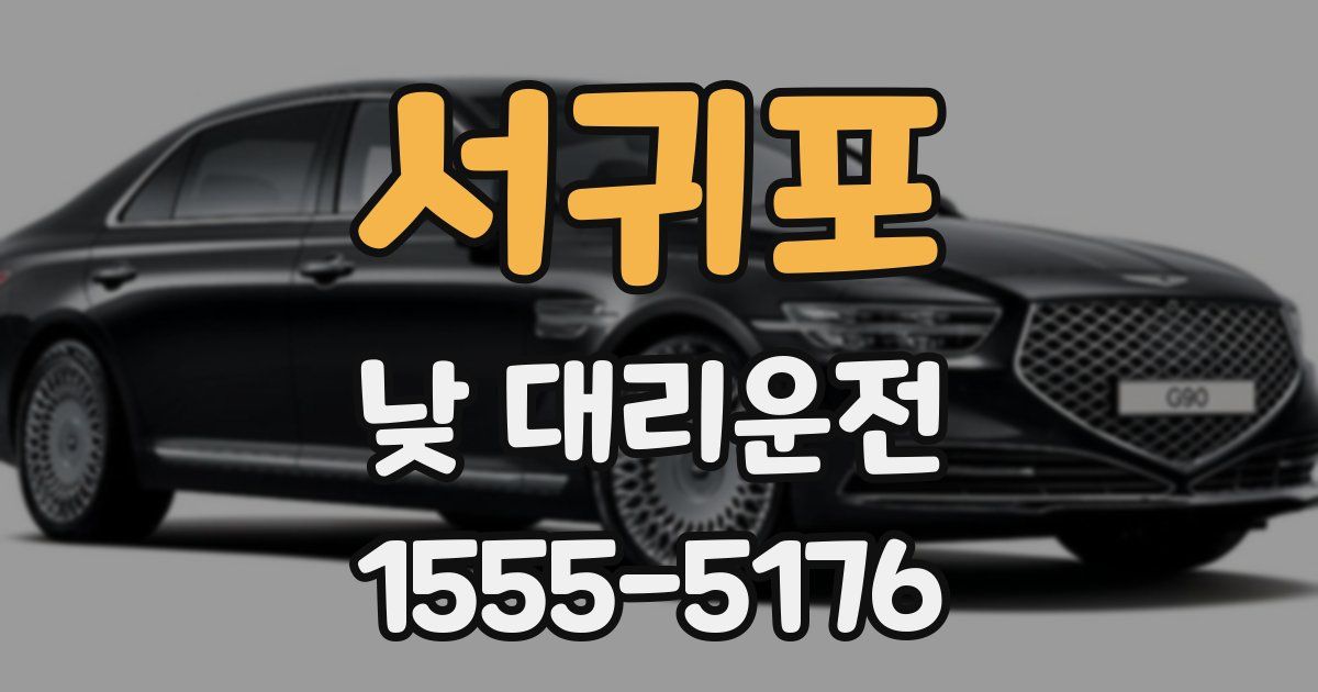 서귀포 낮 대리운전