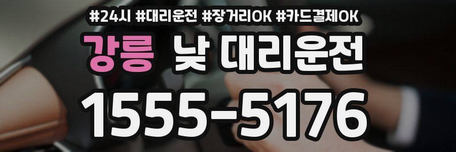 강릉 낮 대리운전