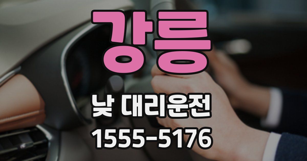강릉 낮 대리운전