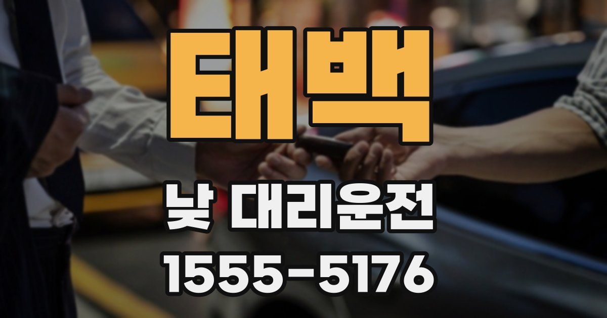 태백 낮 대리운전