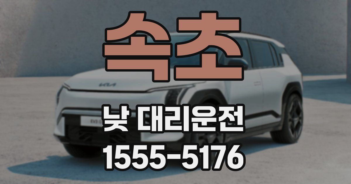 속초 낮 대리운전