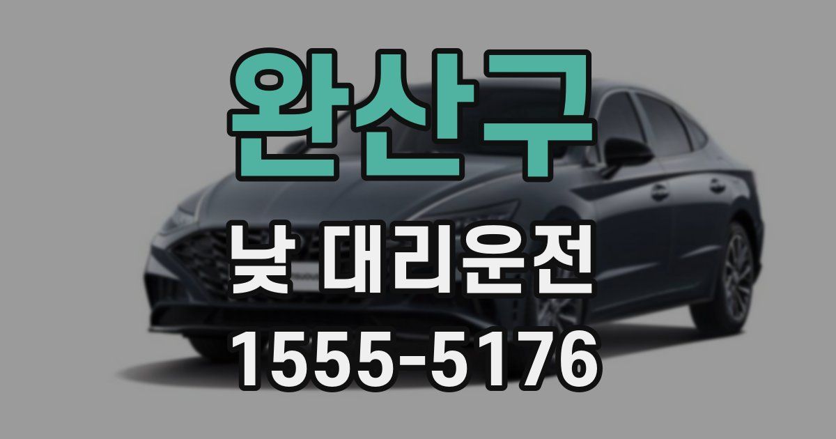 완산구 낮 대리운전