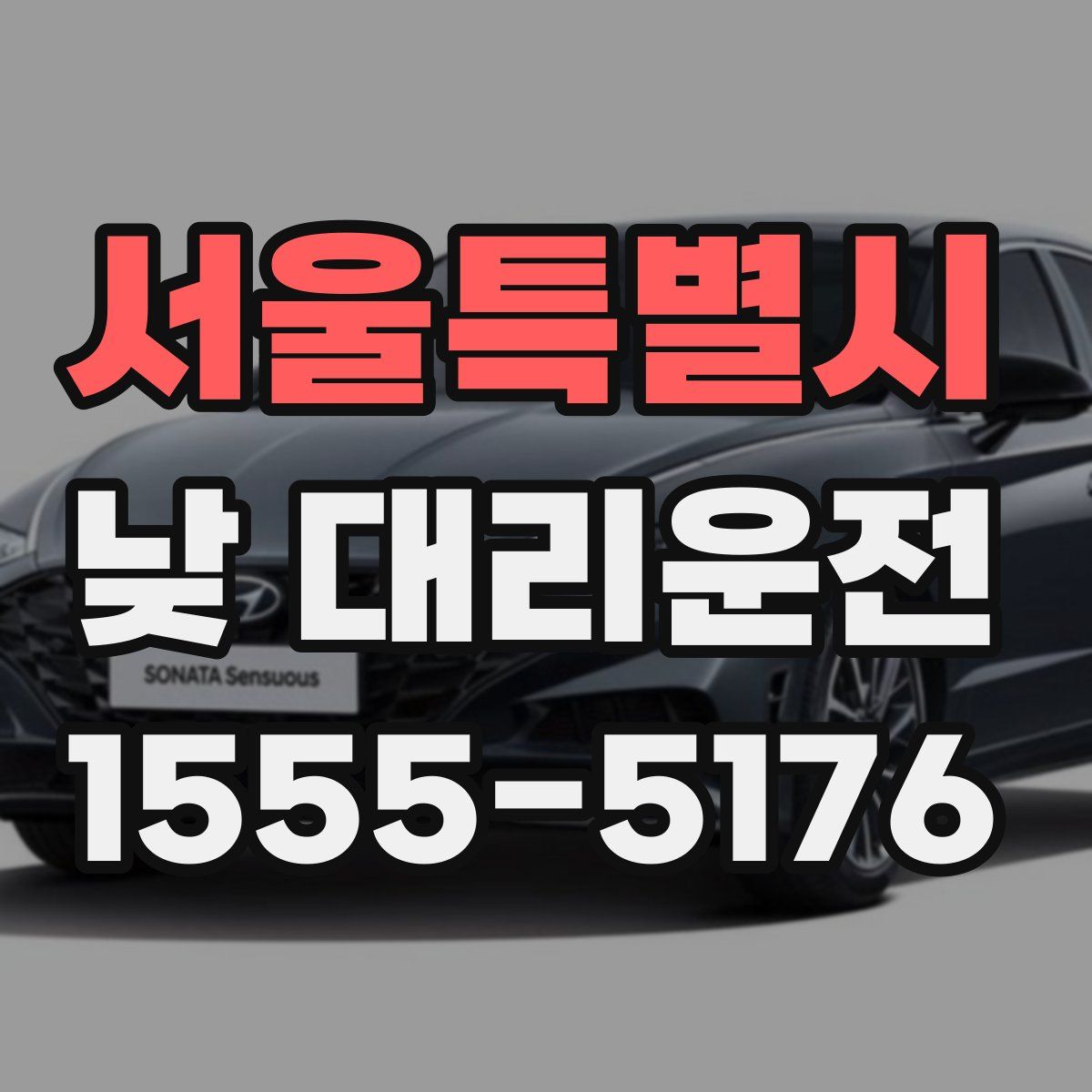 서울특별시 낮 대리운전