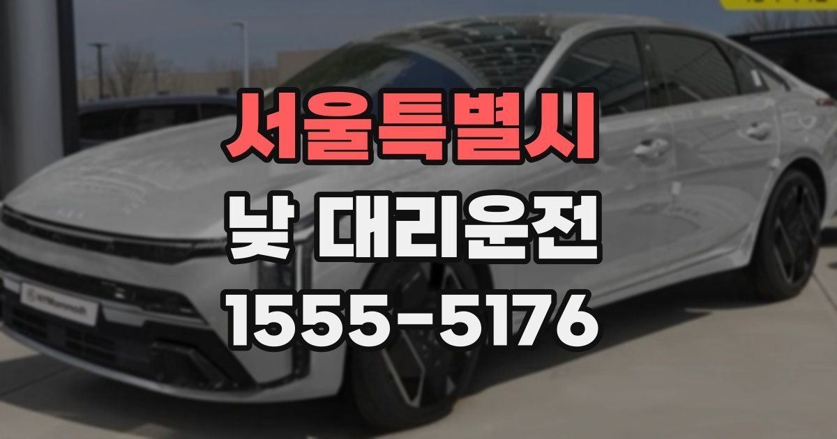 서울특별시 낮 대리운전