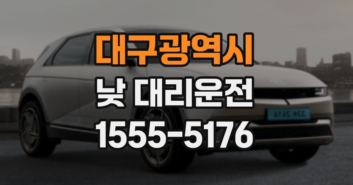 대구광역시 낮 대리운전