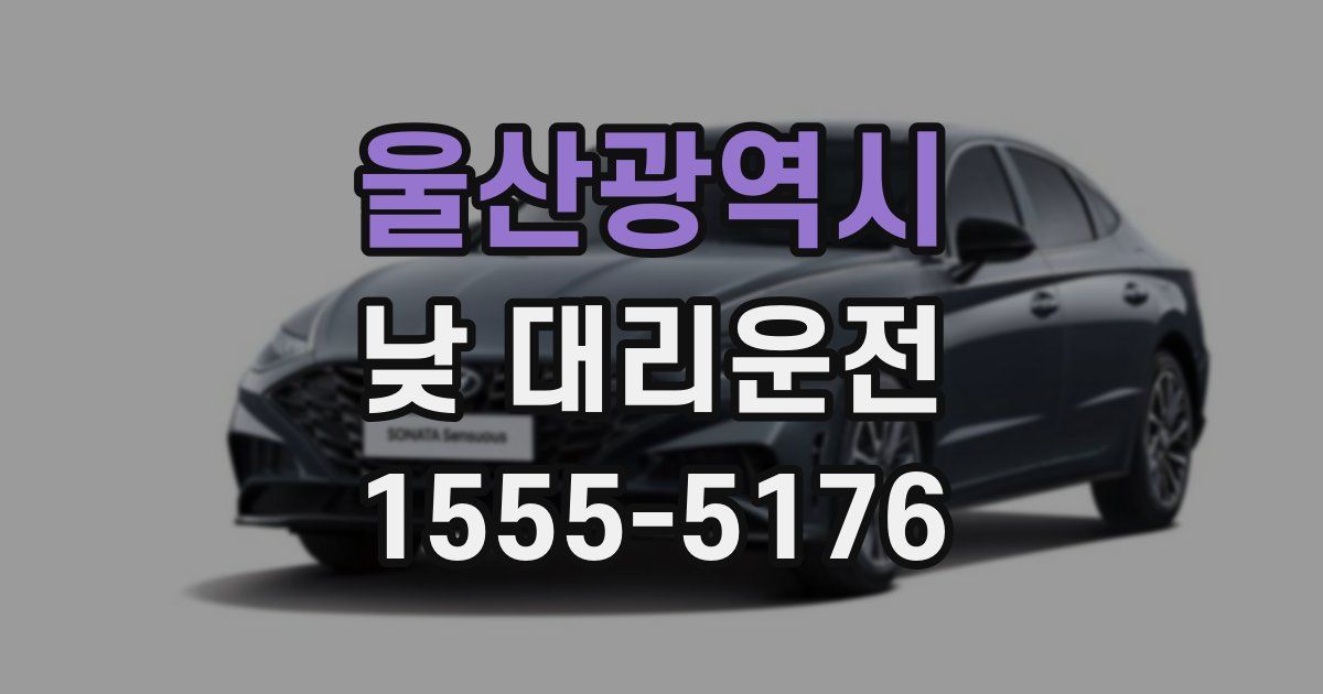 울산광역시 낮 대리운전