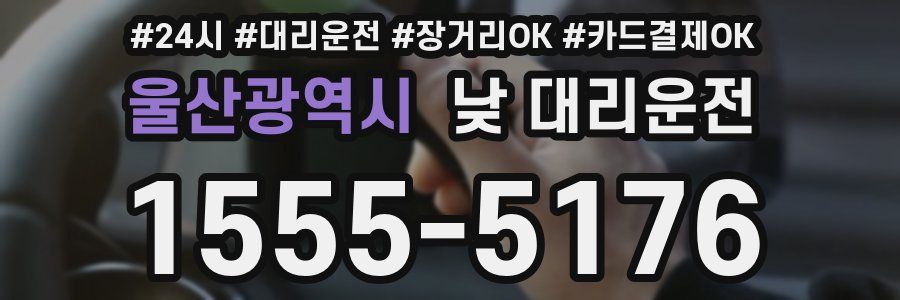 울산광역시 낮 대리운전