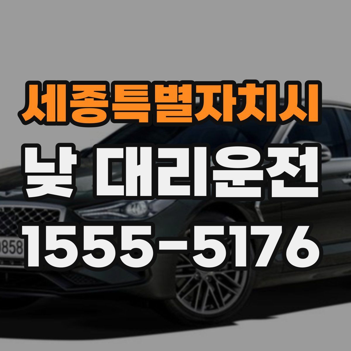세종특별자치시 낮 대리운전