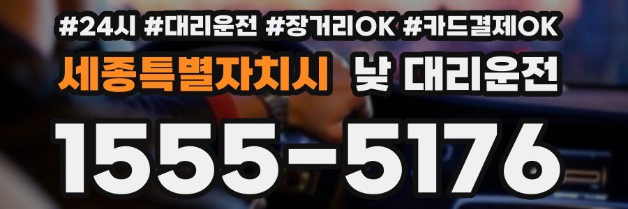 세종특별자치시 낮 대리운전