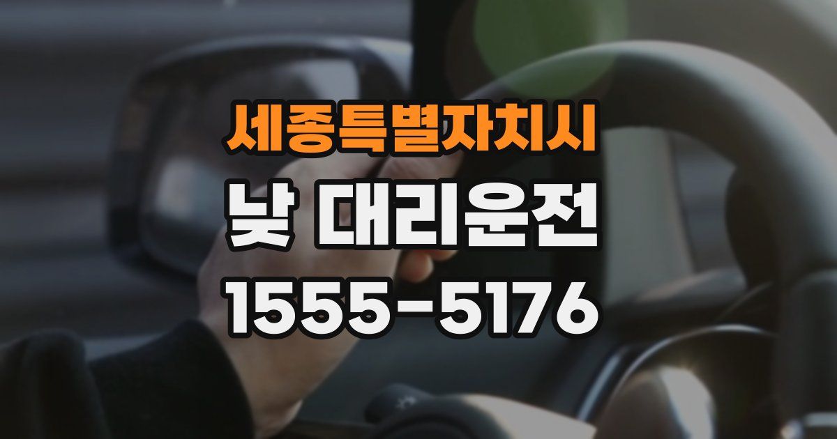세종특별자치시 낮 대리운전