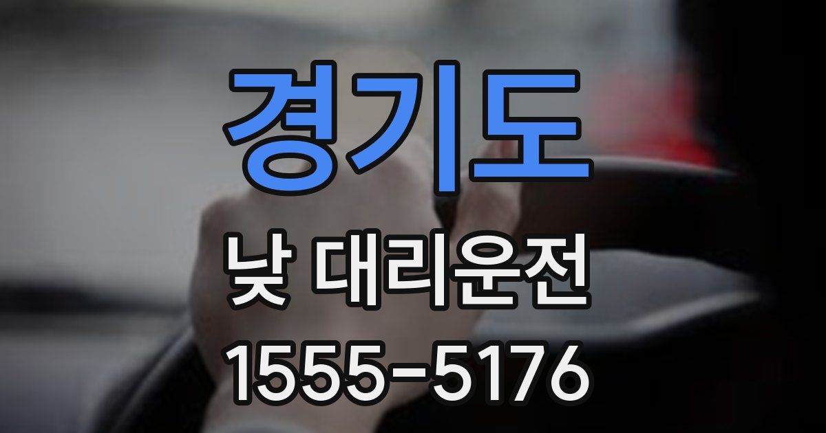 경기도 낮 대리운전