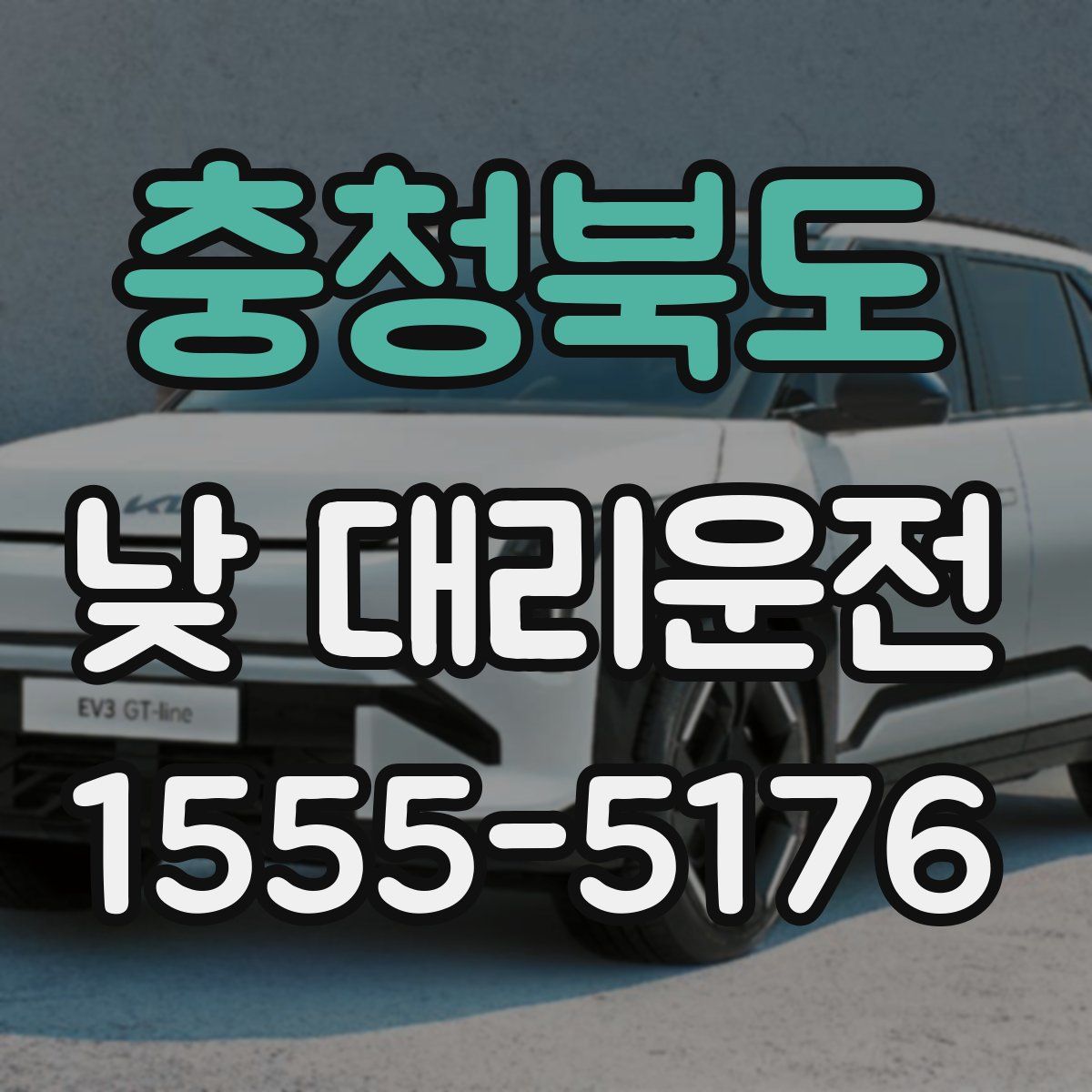 충청북도 낮 대리운전