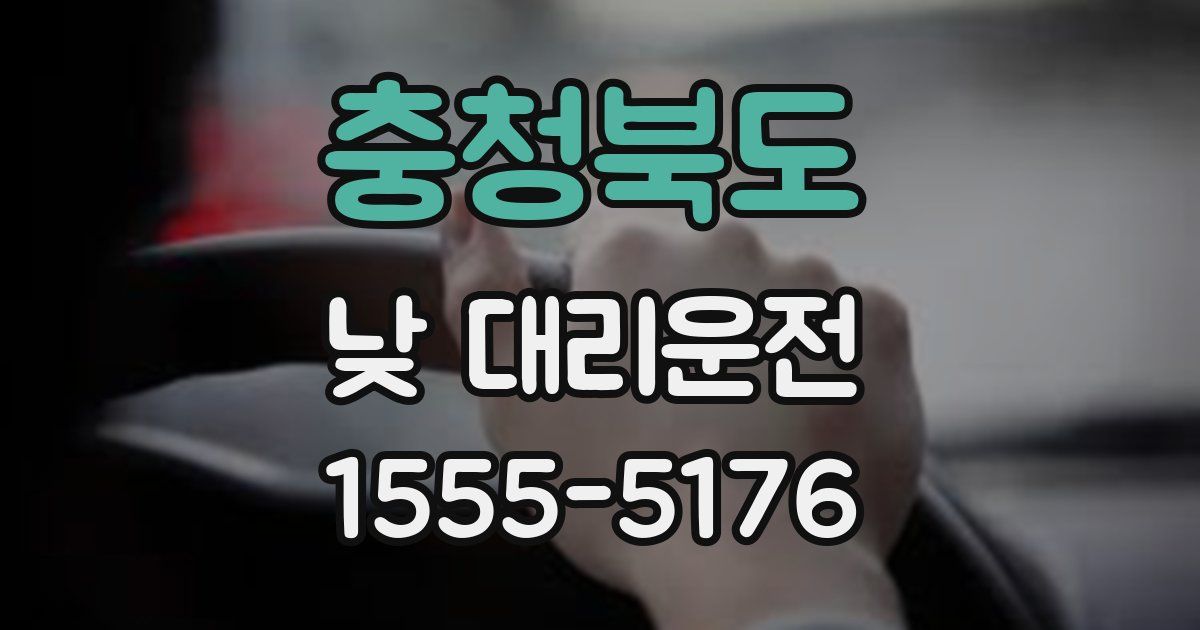 충청북도 낮 대리운전