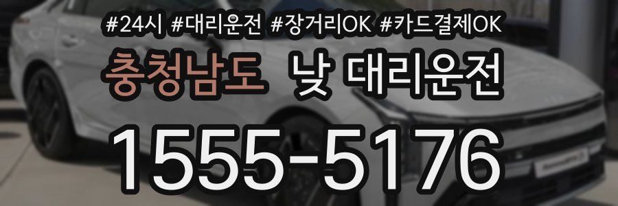 충청남도 낮 대리운전