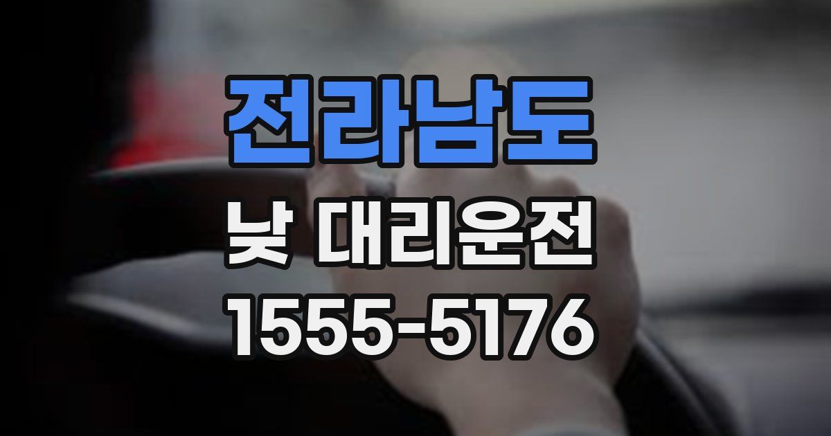 전라남도 낮 대리운전