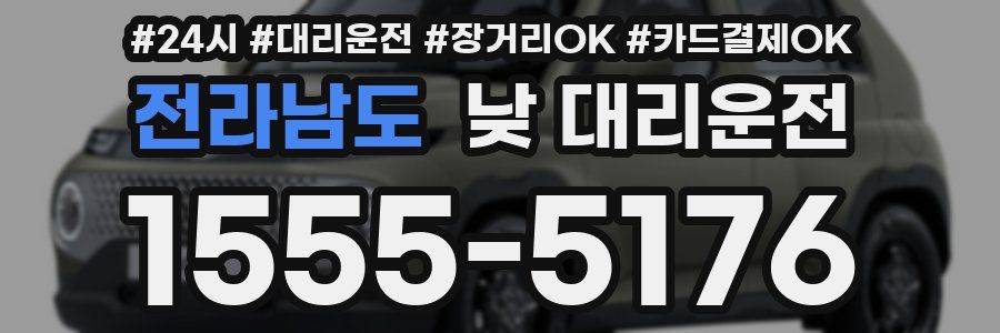 전라남도 낮 대리운전