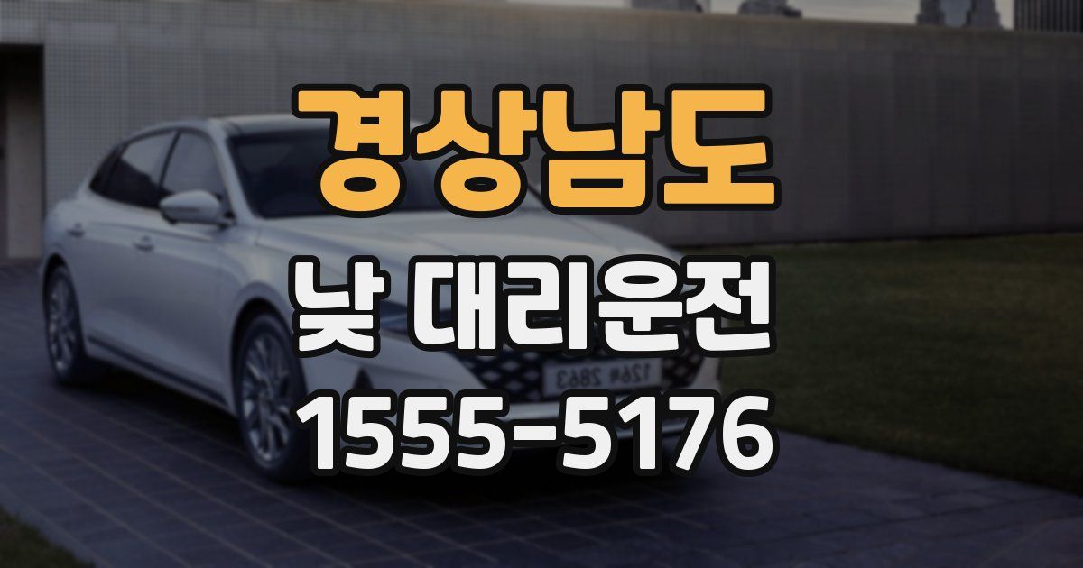 경상남도 낮 대리운전