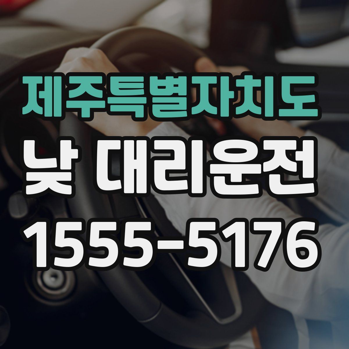 제주특별자치도 낮 대리운전