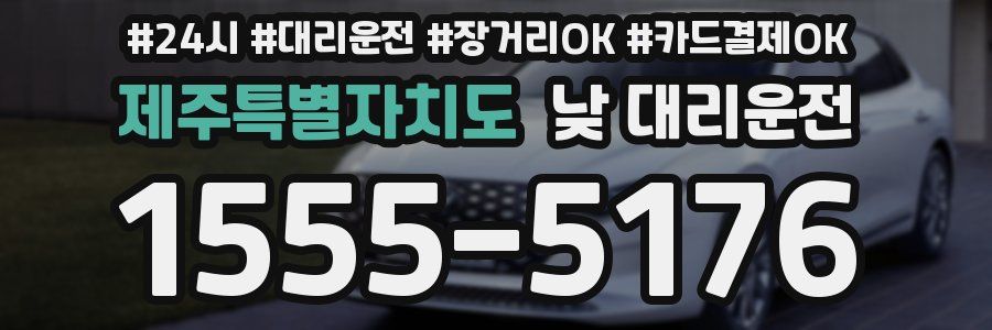 제주특별자치도 낮 대리운전