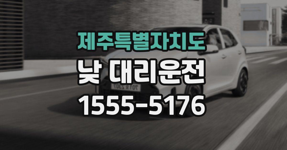 제주특별자치도 낮 대리운전