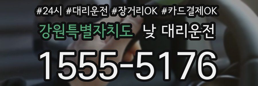강원특별자치도 낮 대리운전