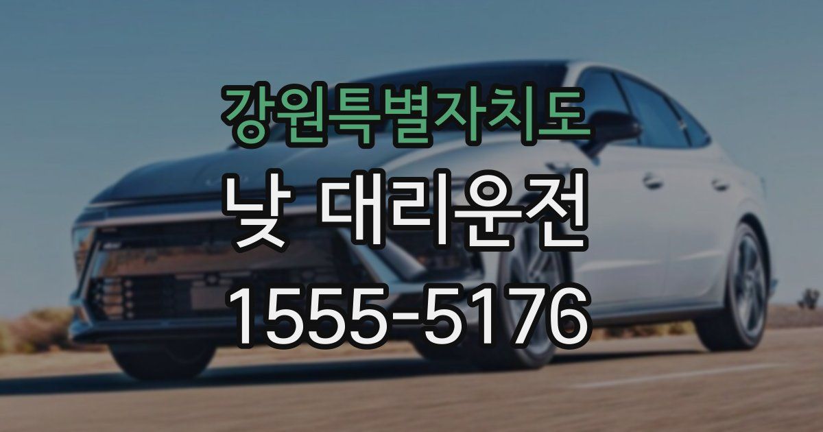 강원특별자치도 낮 대리운전