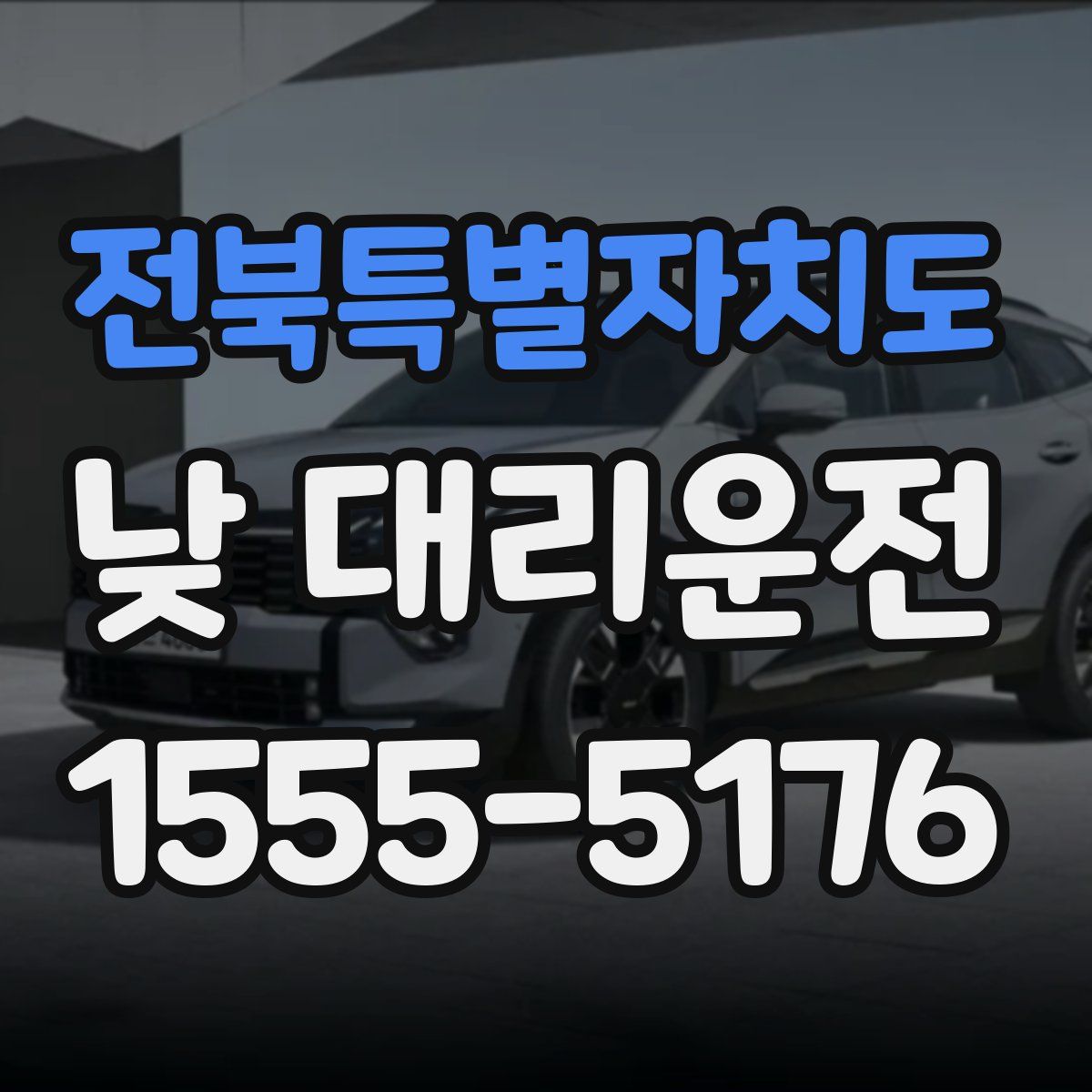 전북특별자치도 낮 대리운전