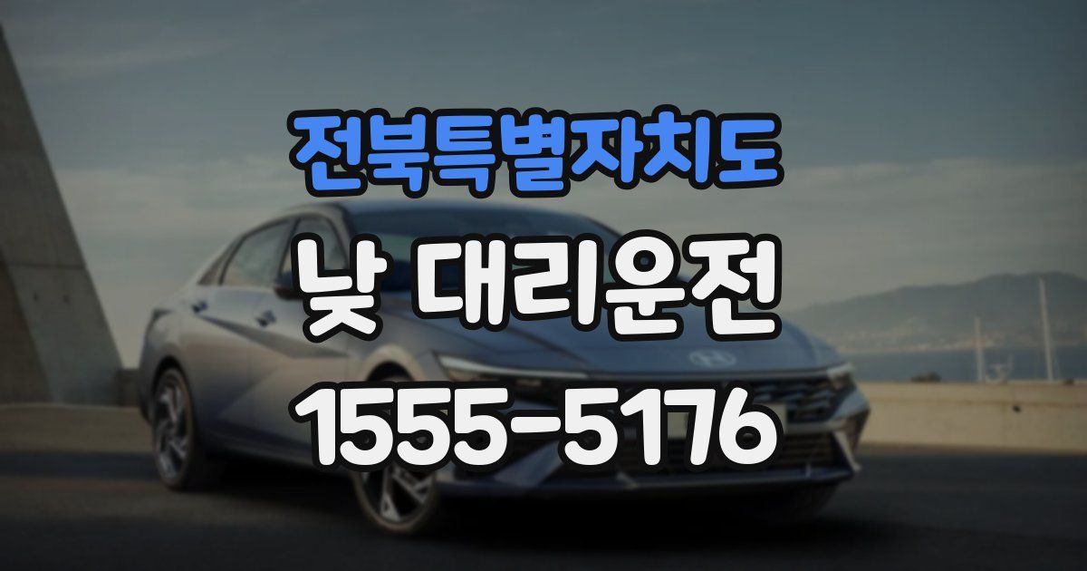 전북특별자치도 낮 대리운전