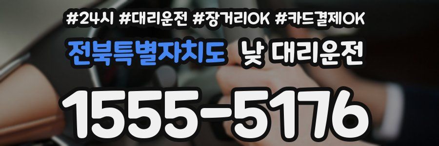 전북특별자치도 낮 대리운전