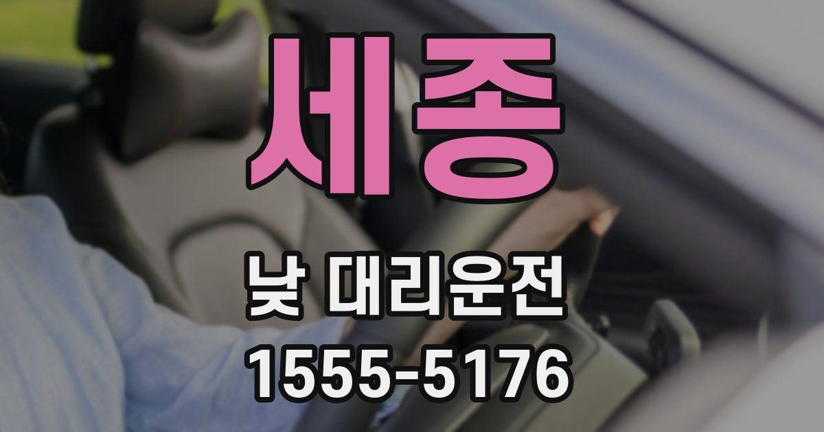 세종 낮 대리운전