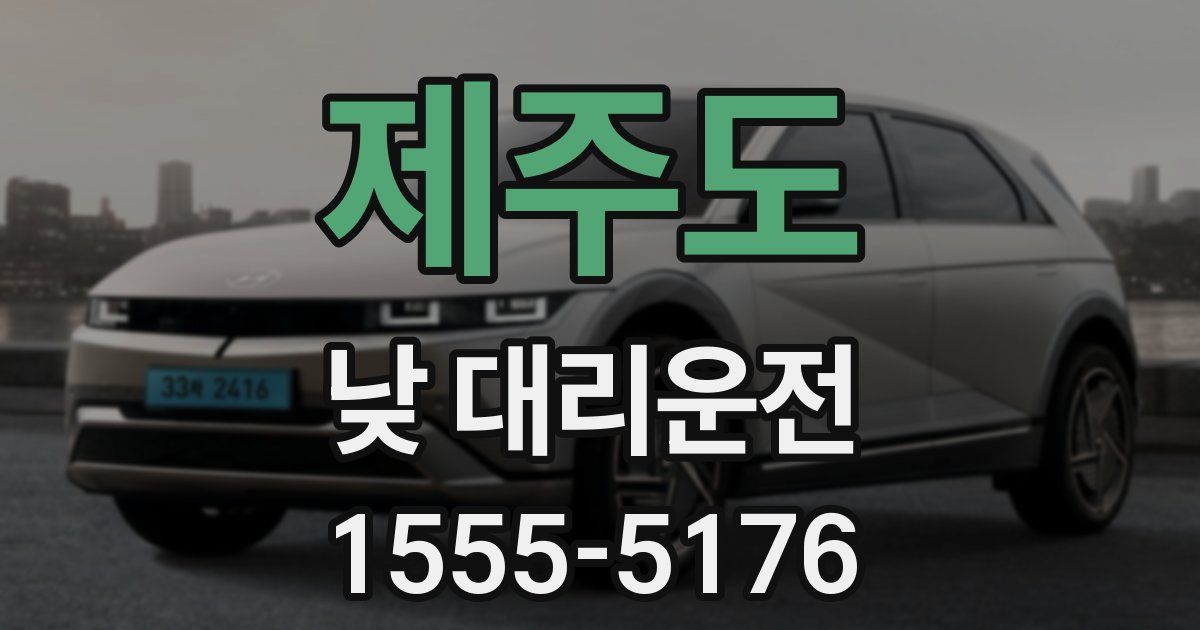 제주도 낮 대리운전