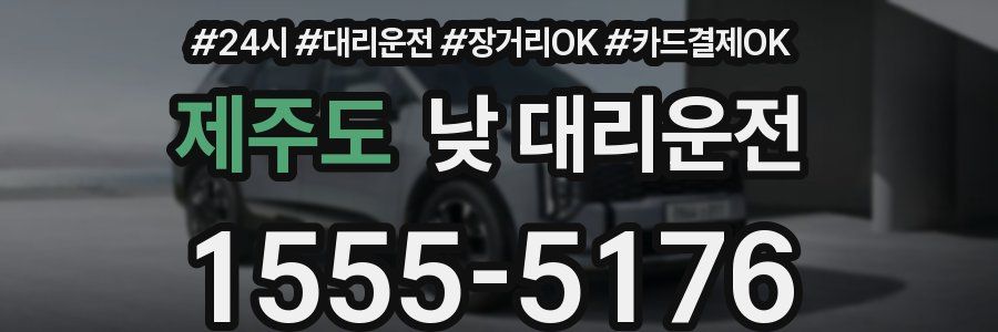 제주도 낮 대리운전