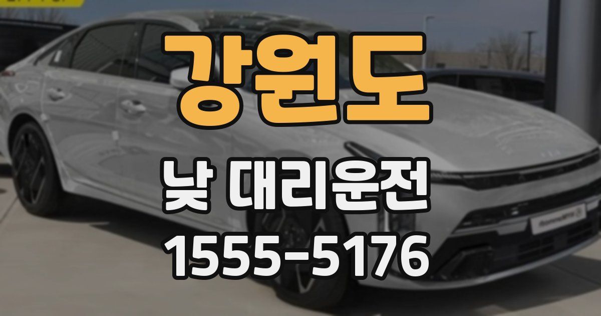 강원도 낮 대리운전