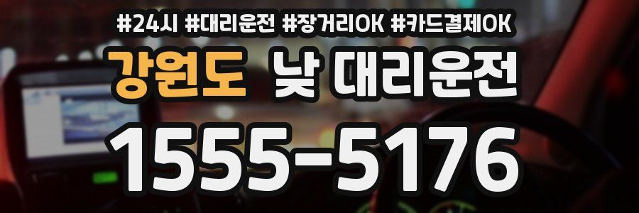 강원도 낮 대리운전
