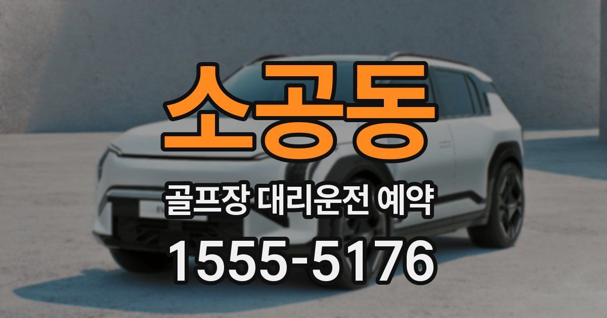 소공동 골프장 대리운전 예약