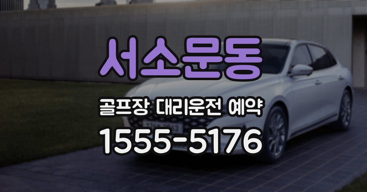 서소문동 골프장 대리운전 예약