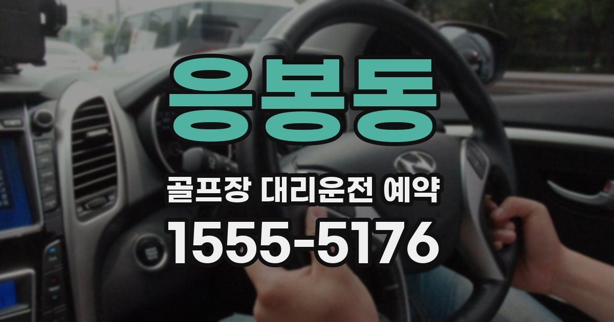 응봉동 골프장 대리운전 예약