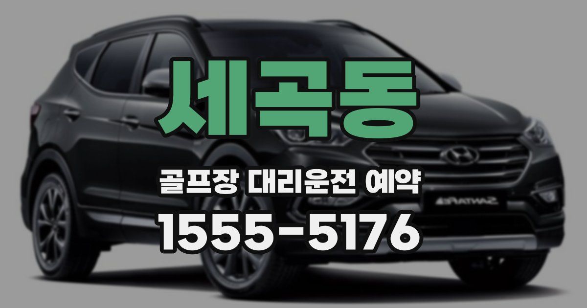 세곡동 골프장 대리운전 예약