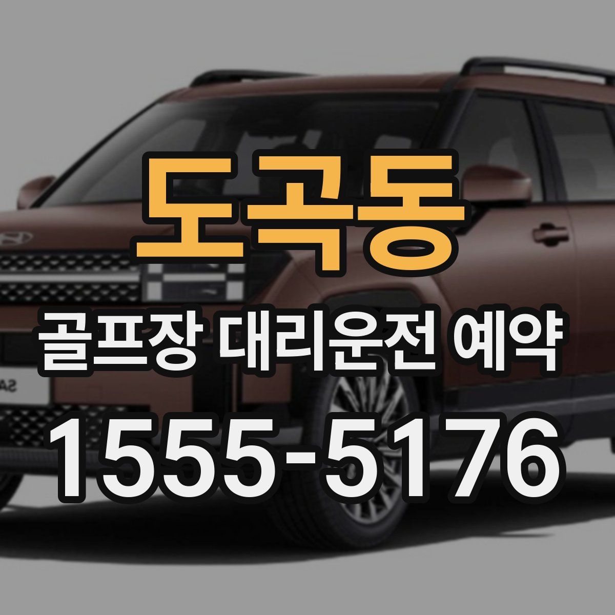 도곡동 골프장 대리운전 예약