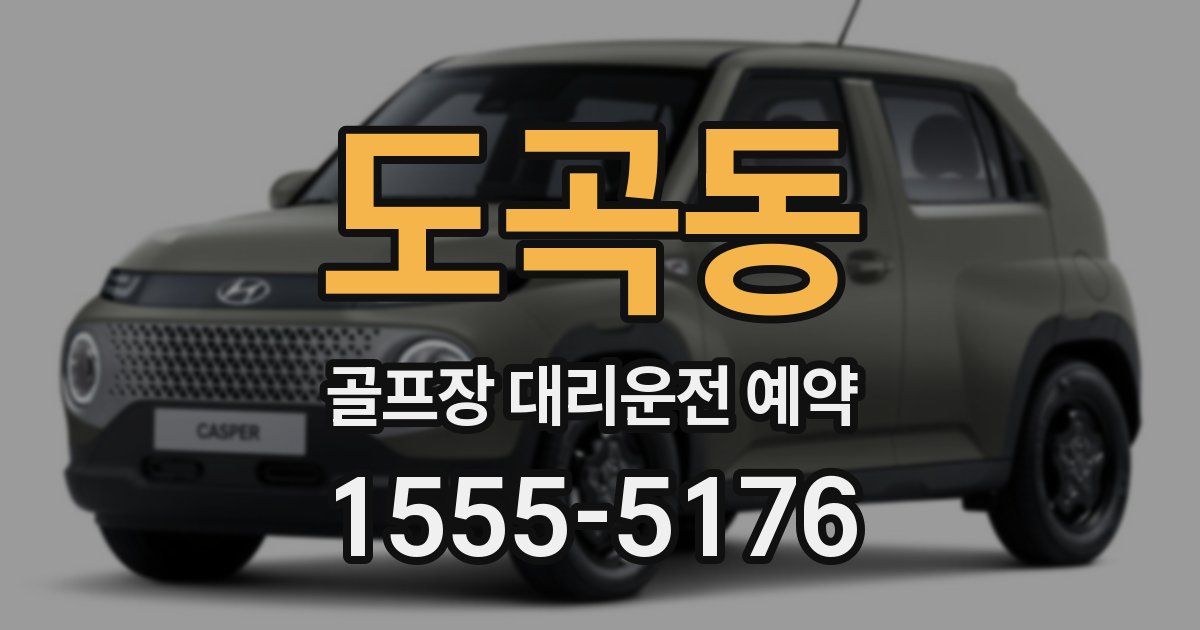 도곡동 골프장 대리운전 예약