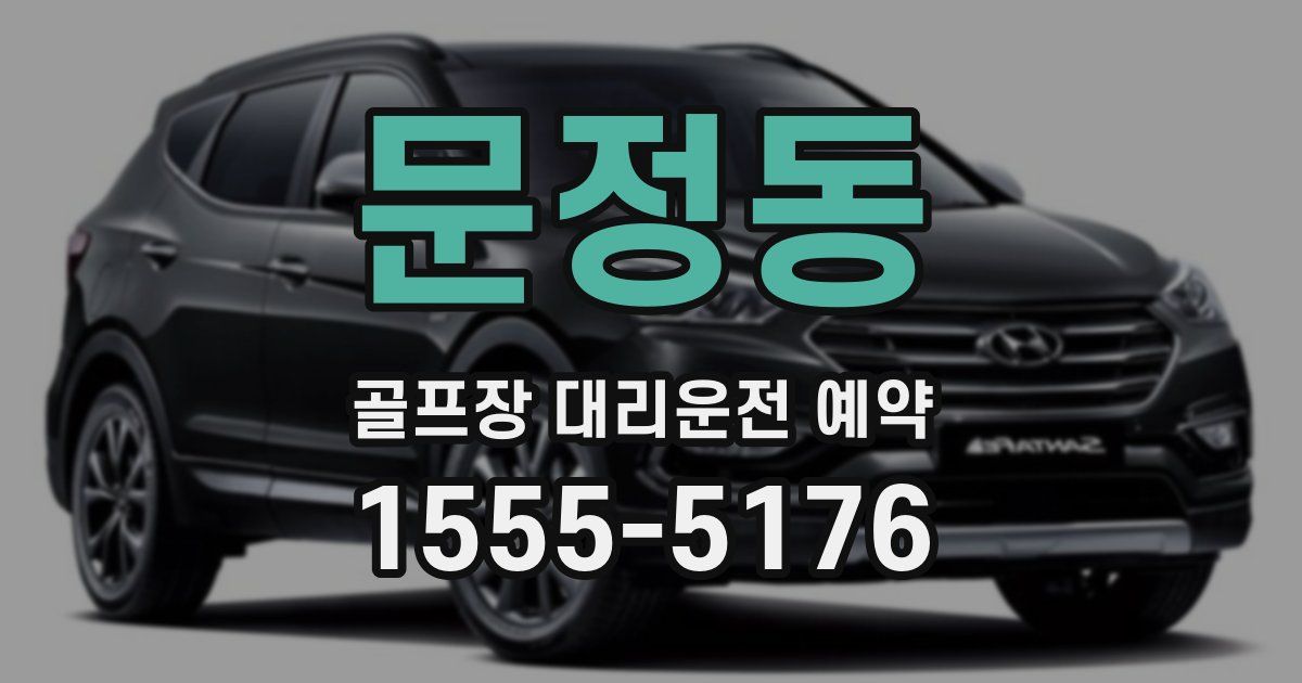 문정동 골프장 대리운전 예약