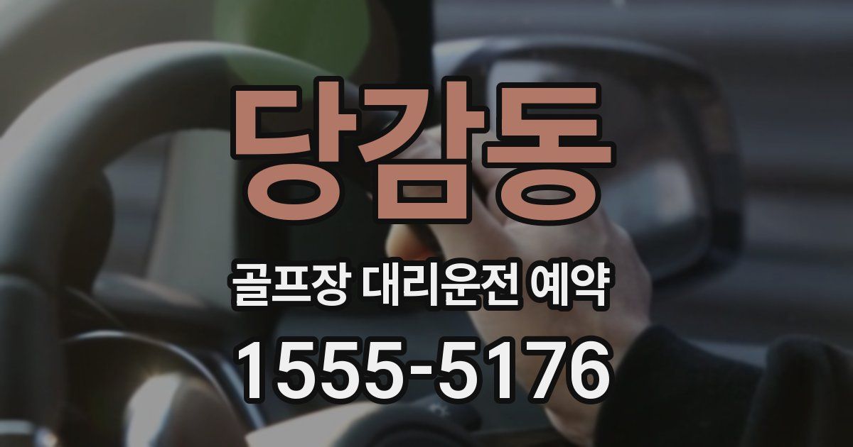 당감동 골프장 대리운전 예약