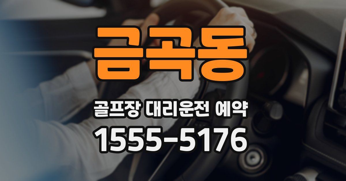 금곡동 골프장 대리운전 예약