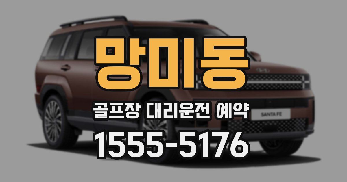 망미동 골프장 대리운전 예약