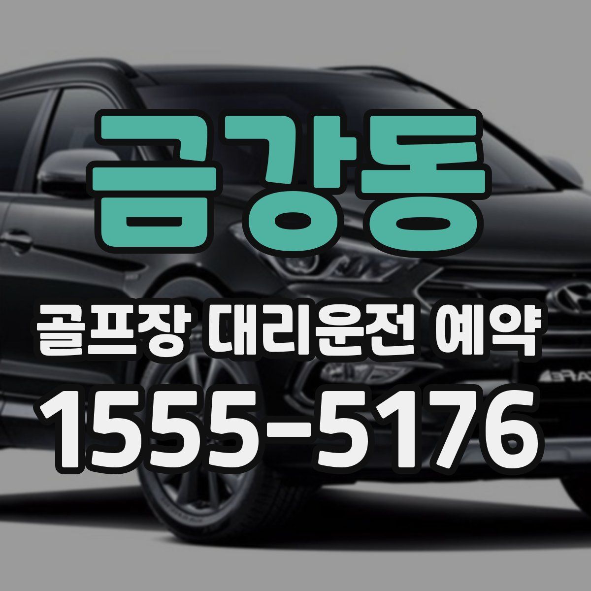 금강동 골프장 대리운전 예약