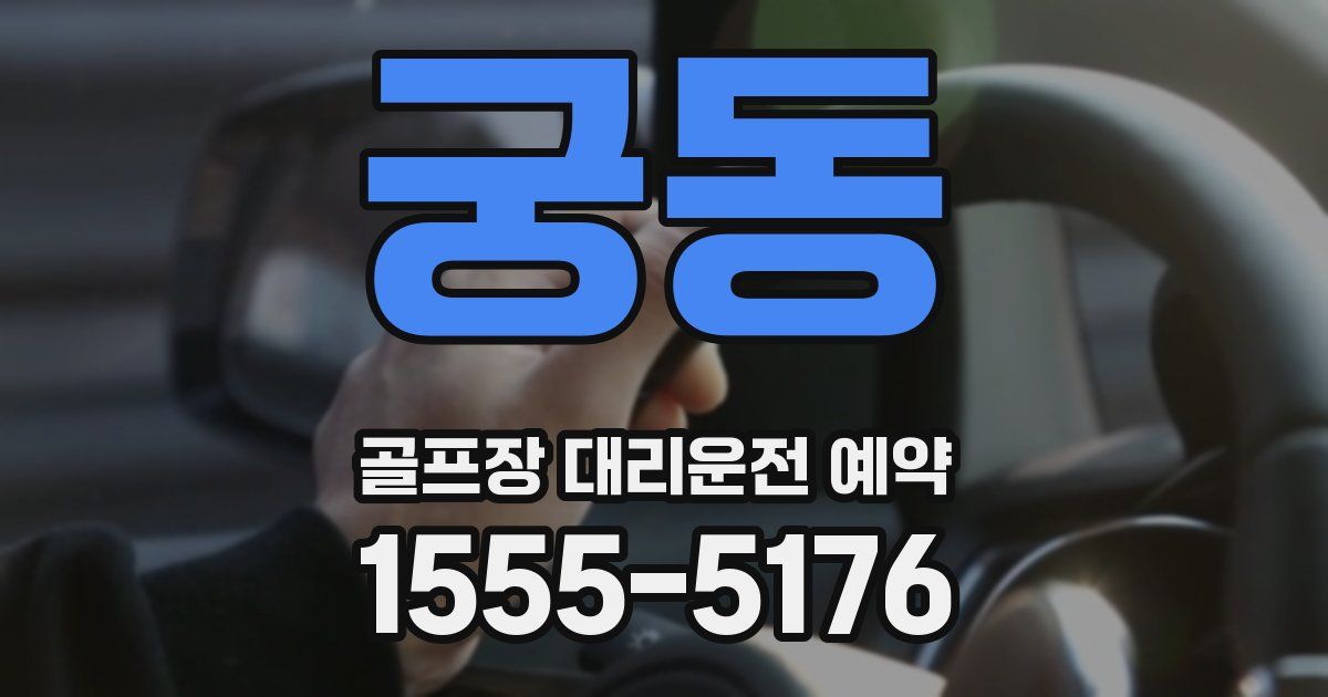 궁동 골프장 대리운전 예약
