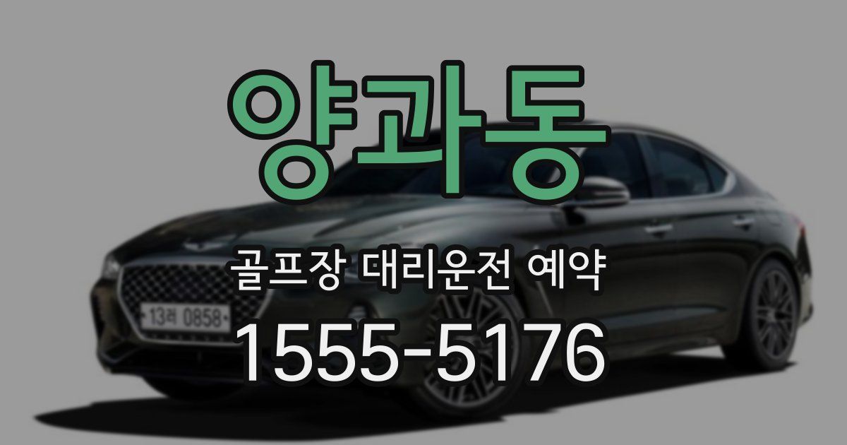 양과동 골프장 대리운전 예약